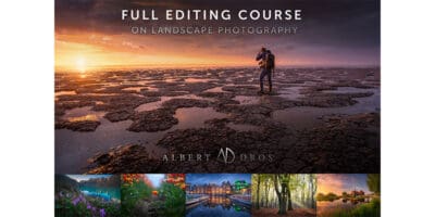 Albert Dros Editing Course