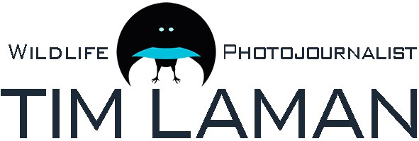 The Creative Process in Bird Photography